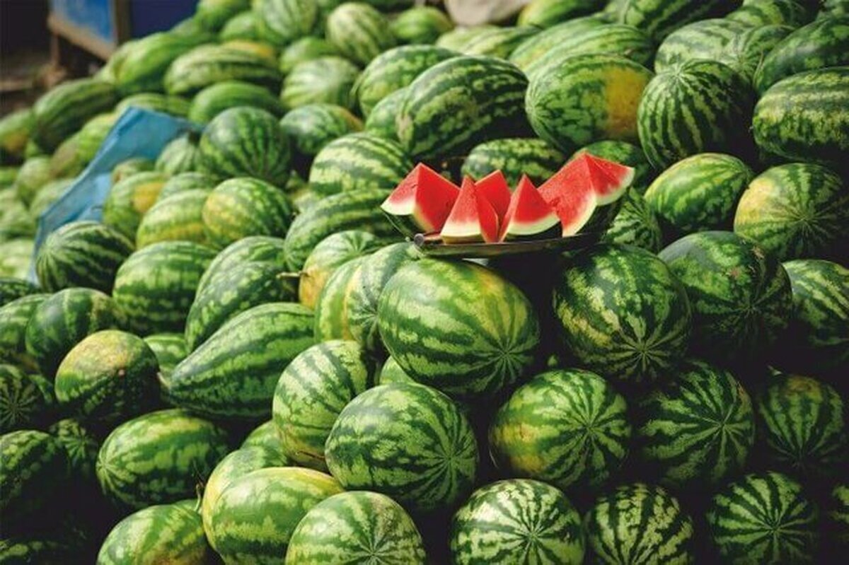  جنجال هندوانه‌های ایران در روسیه +فیلم 