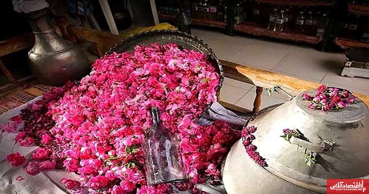  «گلابگیری کاشان» در تقویم رویدادهای گردشگری کشور ثبت شد 
