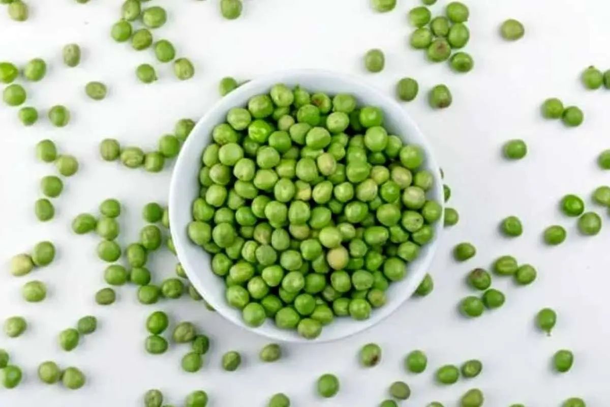 ۳ روش نگهداری نخود سبز برای طولانی مدت