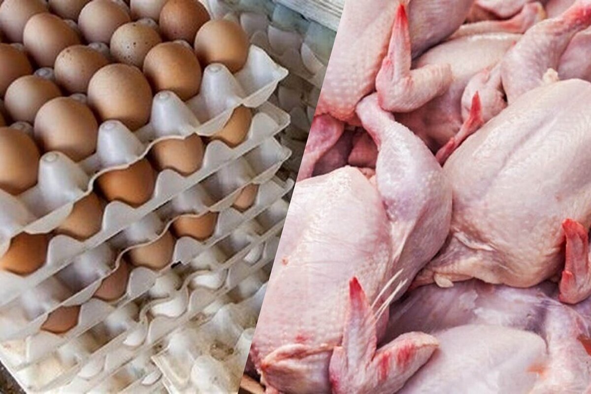 قیمت نهایی این ۴ قلم کالای اساسی مشخص شد قیمت نهایی این ۴ قلم کالای اساسی مشخص شد