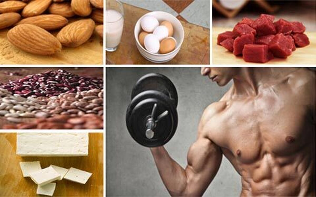 با این منابع پروتئینی، عملکرد ورزشی‌تان را متحول کنید 