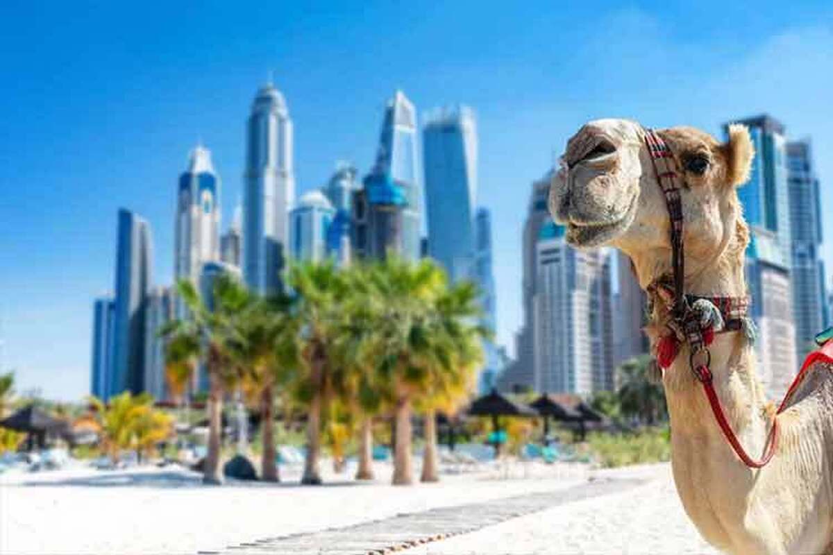  تور دبی با کمترین قیمت؛ از کجا بخریم و چه زمانی رزرو کنیم؟ 