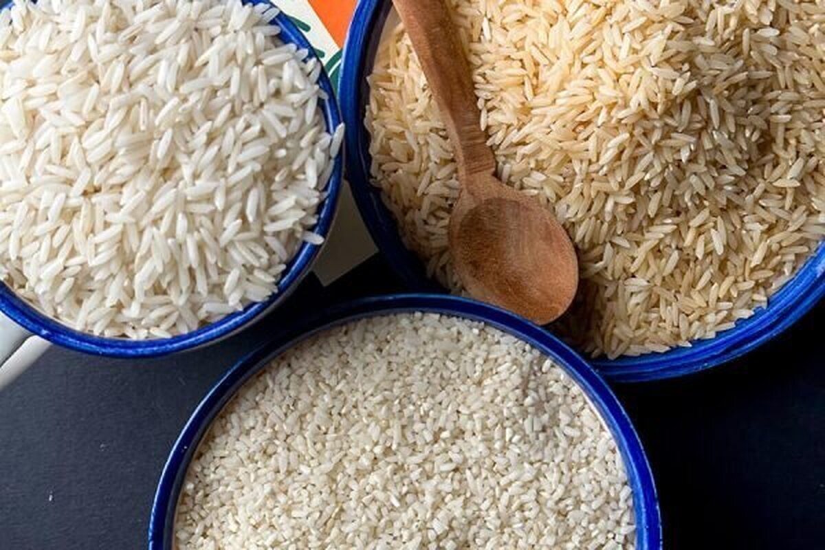 گرانی در انتظار برنج هندی/ واردات برنج معروف دانه بلند هندی ممنوع شد گرانی در انتظار برنج هندی/ واردات برنج معروف دانه بلند هندی ممنوع شد
