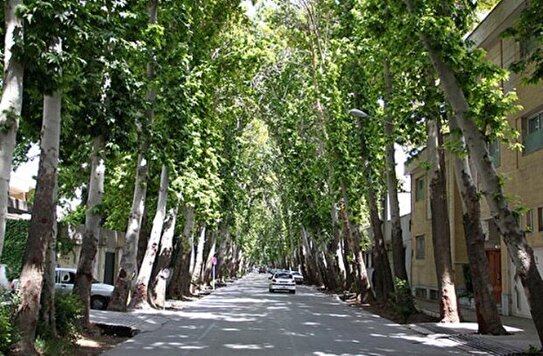 درختان و باغهای نصف‌جهان حقابه‌داران کهن زاینده‌رود هستند/ ضرورت تخصیص ۵۰ میلیون مترمکعبی آب