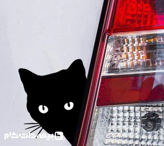 از بین بردن خط و خش سطحی و عمیق بدنه ماشین با ساده‌ترین موارد
