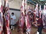 افزایش ۱۸ درصدی عرضه گوشت قرمز در فروردین ۱۴۰۴/ سهم غالب با گوشت گاو و گوساله