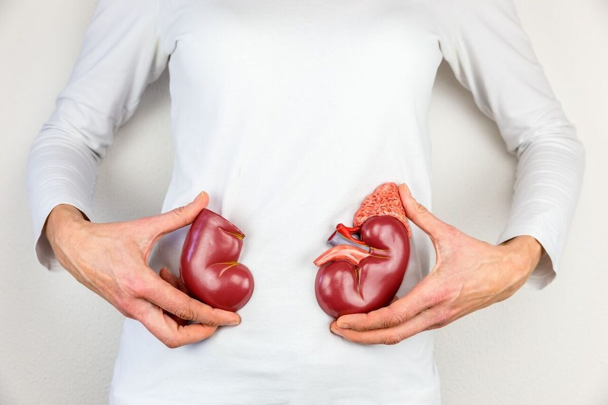 قیمت فروش کلیه یک میلیارد تومان شد! قیمت فروش کلیه یک میلیارد تومان شد!