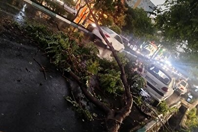 صدور هشدار هواشناسی برای ۲۰ استان کشور