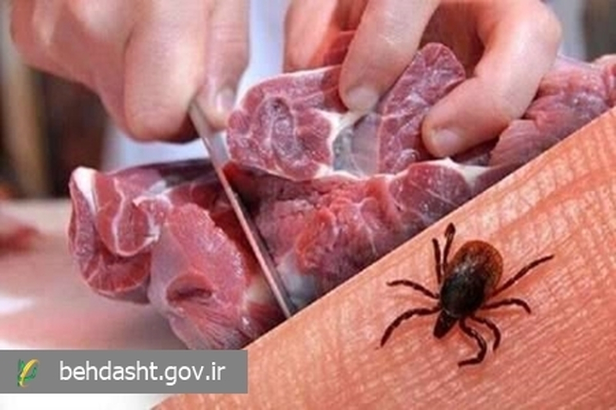  همه‌چیز درباره تب کریمه کنگو؛ بیماری خطرناک مشترک بین انسان و دام 