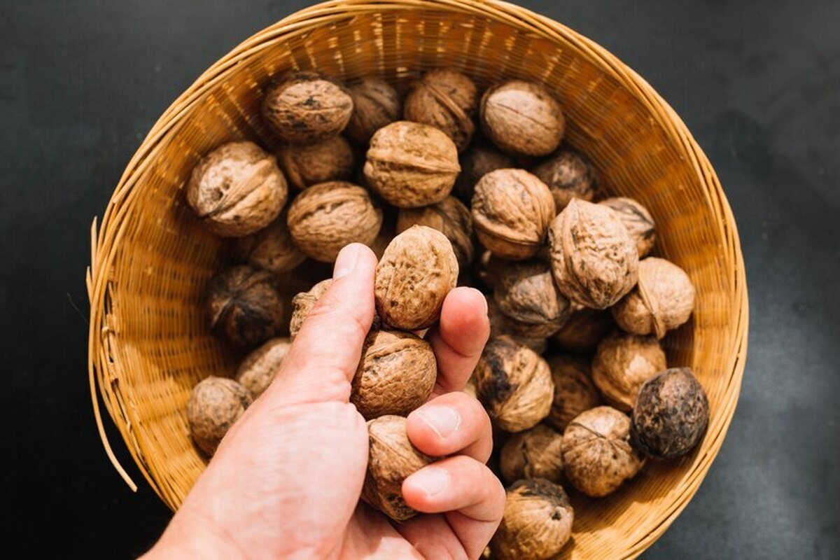  با گردو سه سوته سرفه را درمان کنید 