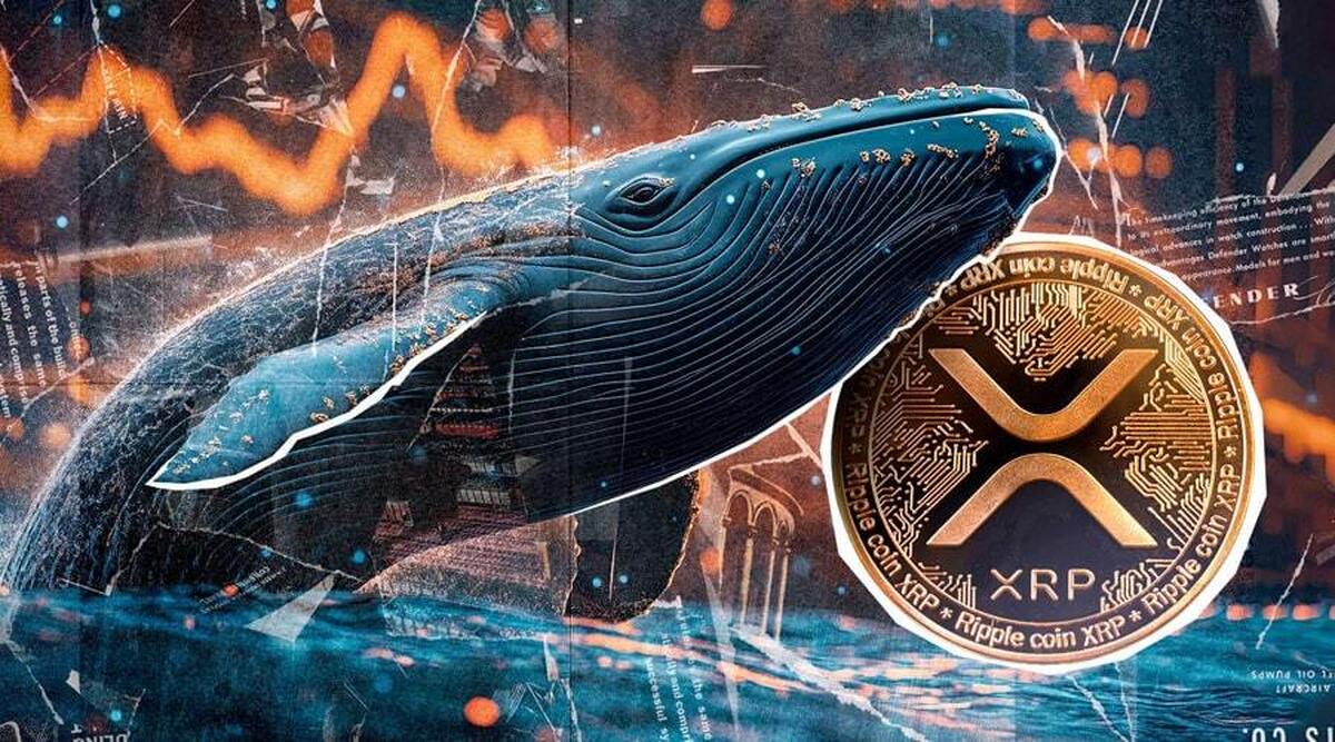  انباشت ۱۹۰ میلیون XRP در یک هفته؛ نهنگ‌ها مانع سقوط به زیر ۲ دلار می‌شوند؟ 