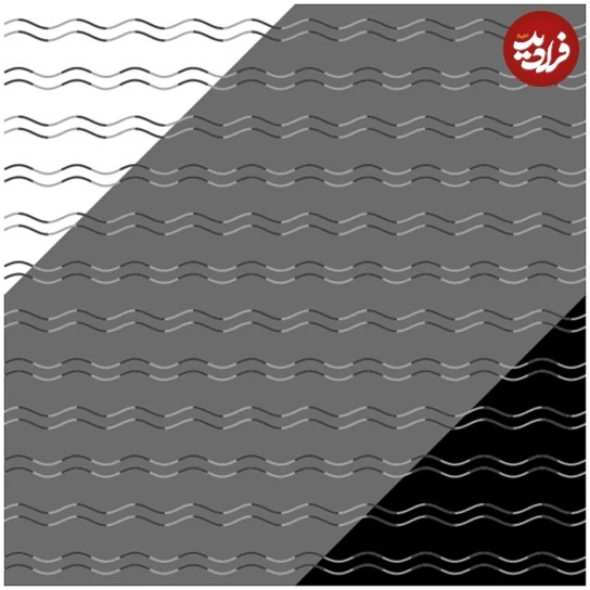 تصاویر؛ مشهورترین «خطا‌های دید» که باعث می‌شوند به چشمانتان اعتماد نکنید
