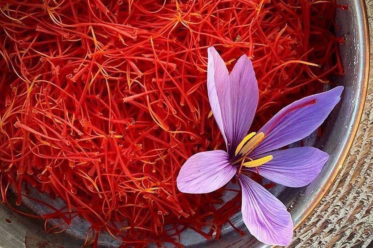  قیمت زعفران؛ شنبه ۳ خرداد/ زعفران گران شد؟ 