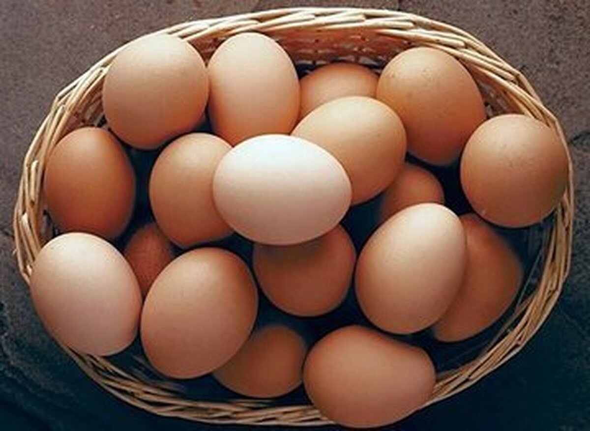  خوردن تخم‌مرغ خام محلی برای کم‌خونی مفید است؟ 