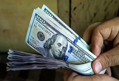 قیمت دلار امروز ۳۱ خرداد ۱۴۰۴ / قیمت دلار ارزان شد!