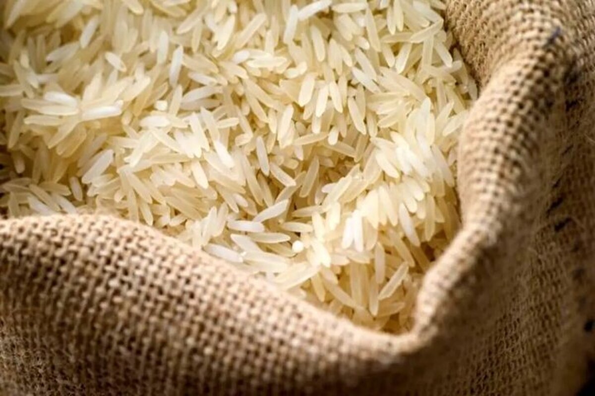  تفاوت ۳۰ درصدی قیمت برنج در میادین نسبت به بازار 
