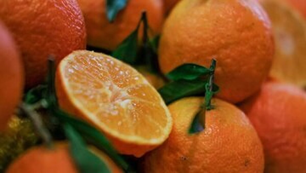  خواص شگفت انگیز نارنج برای سلامتی 