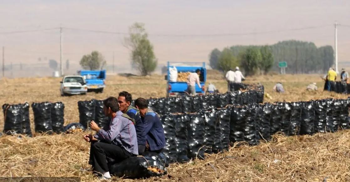 خسارت ۴۰ هزار میلیارد تومانی اعتصاب کامیون‌داران به کشاورزان