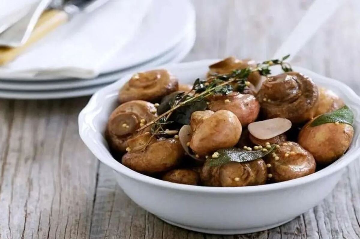 طرز تهیه ترشی قارچ با روغن زیتون طرز تهیه ترشی قارچ با روغن زیتون