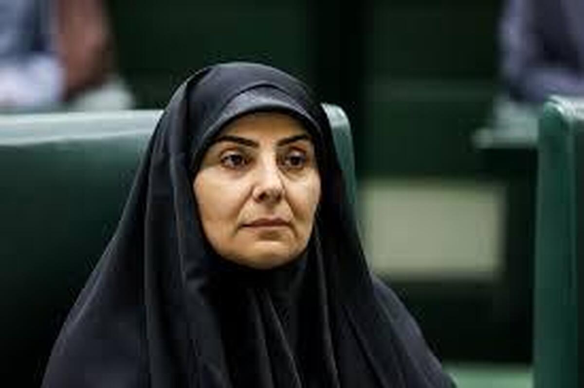 رئیس امور اطلاع‌رسانی دولت: عده‌ای هر روز در حال پخش شایعات کودکانه هستند