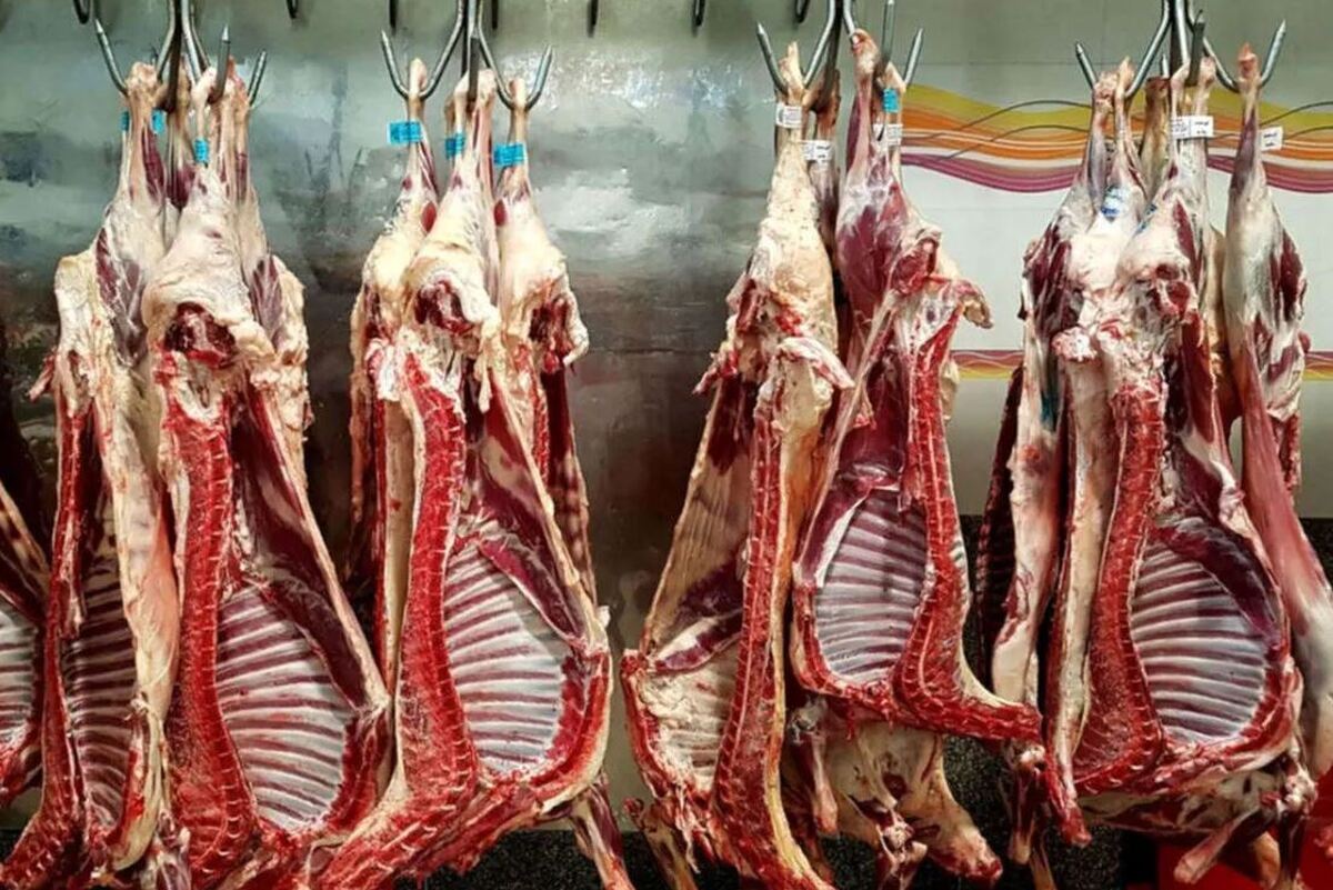  واردات گوشت قرمز متوقف شد؟ 