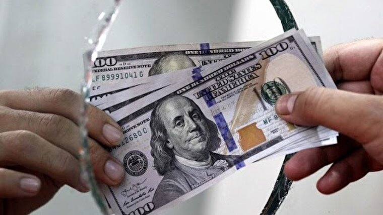 جهش ارزی، محصول تثبیت است/ هیچ مدلی، تثبیت ارز در تورم بالا را توصیه نمی‌کند