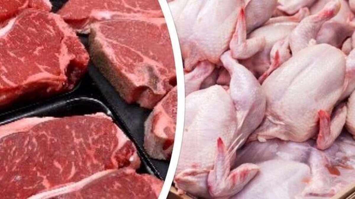 خبر مهم از افزایش چشمگیر عرضه گوشت خبر مهم از افزایش چشمگیر عرضه گوشت