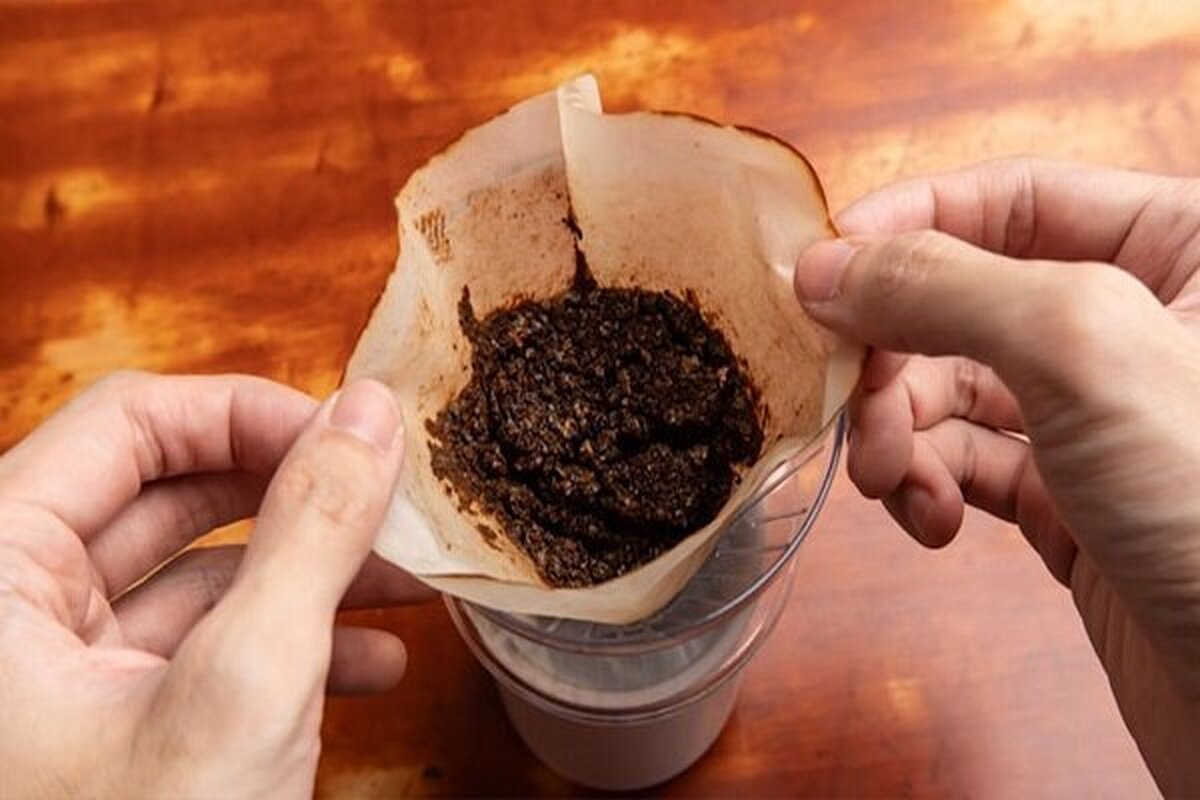 آغاز ثبت سفارش قهوه، کاکائو، تن ماهی و ذرت از فردا آغاز ثبت سفارش قهوه، کاکائو، تن ماهی و ذرت از فردا