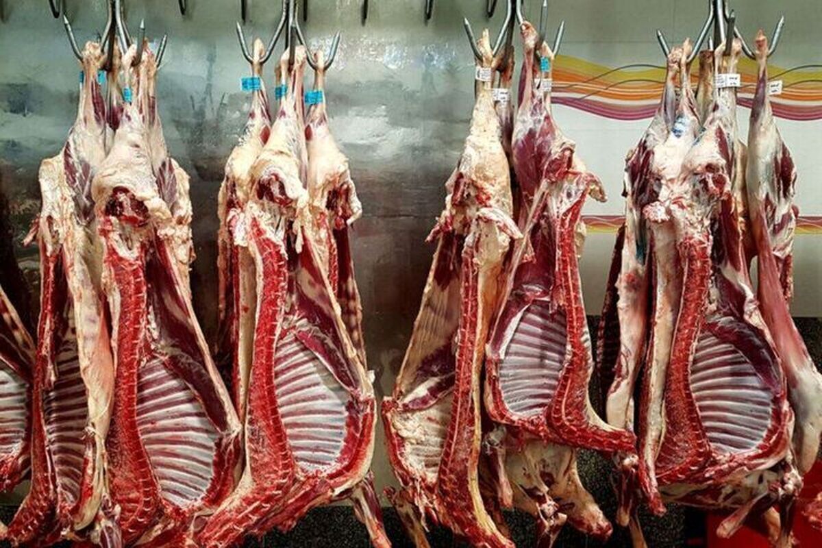 قیمت گوشت قرمز، امروز ۱۹ تیر ۱۴۰۴/ سردست گوسفندی چند؟