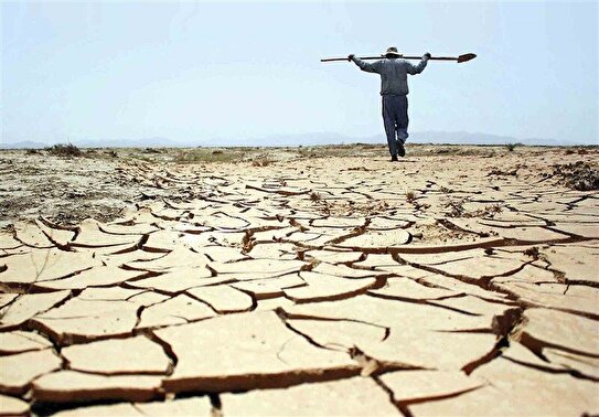 سقوط ۴۰ درصدی اشتغال در بخش کشاورزی/ نیمی از مشاغل ایران، خدماتی است