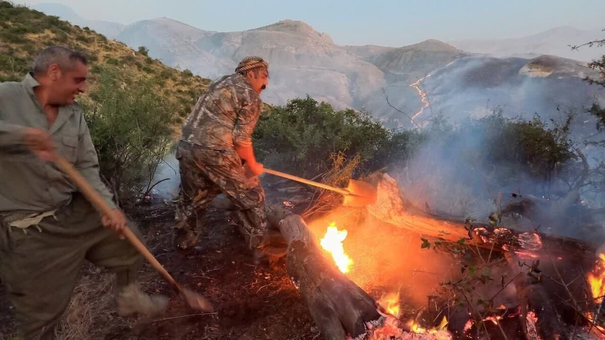 آش سوزی در پارک ملی تندوره؛ ۲۰ هکتار خاکستر شد