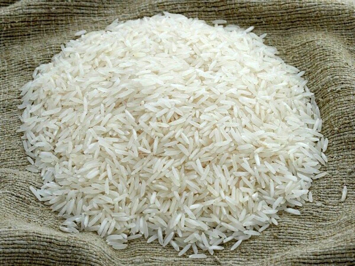 دریایی از برنج به کشور رسید دریایی از برنج به کشور رسید