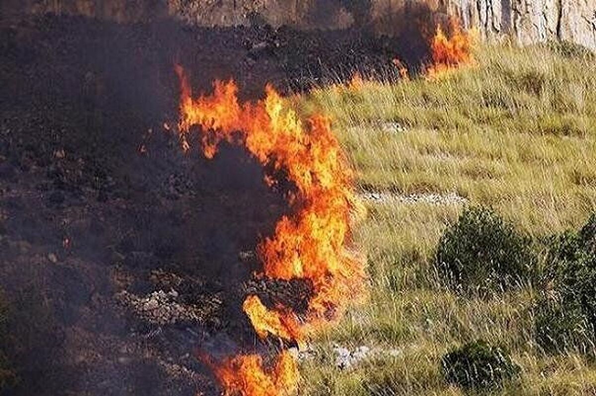 آتش در هورالعظیم؛ حقابه هور کجاست؟