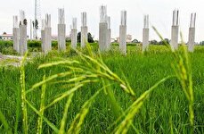 بار مالی تغییر کاربری اراضی از دوش دولت برداشته شد