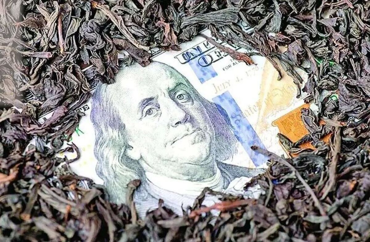 آخرین وضعیت پرونده چای دبش