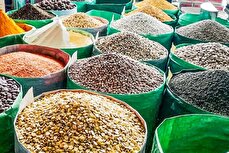 توزیع بیش از هزار تن حبوبات در کشور