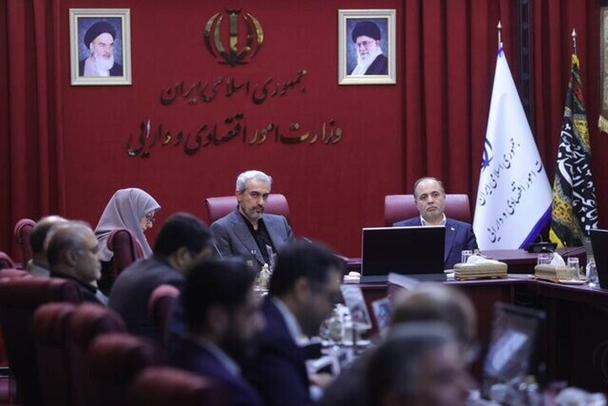 مدنی‌زاده: اولویت وزارت اقتصاد هوشمندسازی مالیات و گمرک است