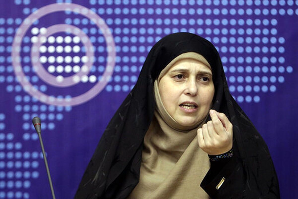 سلحشوری: استرداد لایحه نشر مطالب خلاف واقع، نکته مثبت در کارنامه پزشکیان بود