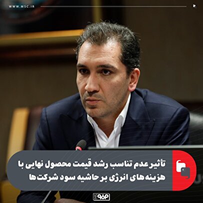 تأثیر عدم تناسب رشد قیمت محصول نهایی با هزینه‌های انرژی بر حاشیه سود شركت‌ها