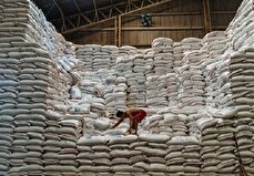 آغاز ثبت سفارش جدید برنج / برنج ارزان می‌شود؟
