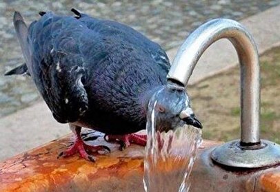 خودتان را برای یک هفته داغ آماده کنید!+ فیلم