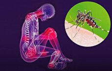 شیوع یک بیماری ویروسی جدید / ثبت ۹۰ مورد فوتی