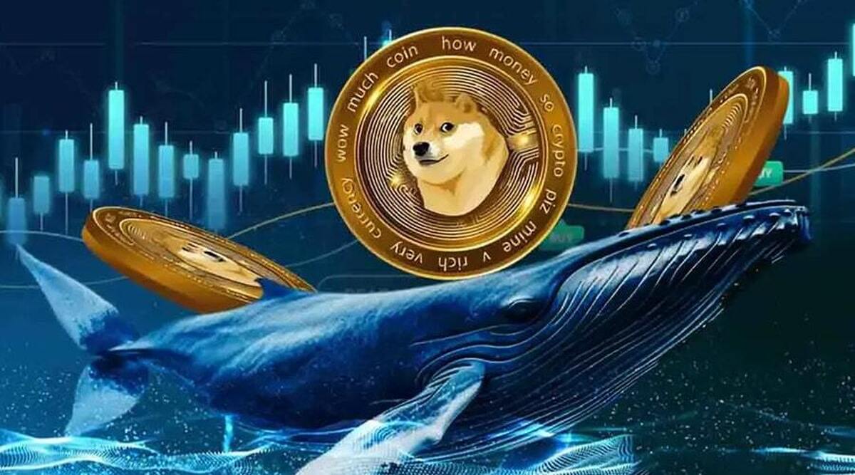 پیش‌بینی قیمت دوج‌کوین پس از صعود تاریخی