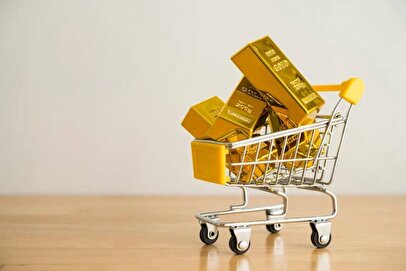 شروط بانک مرکزی فشار بیشتری را متوجه درگاه‌های فروش آنلاین طلا می‌کند