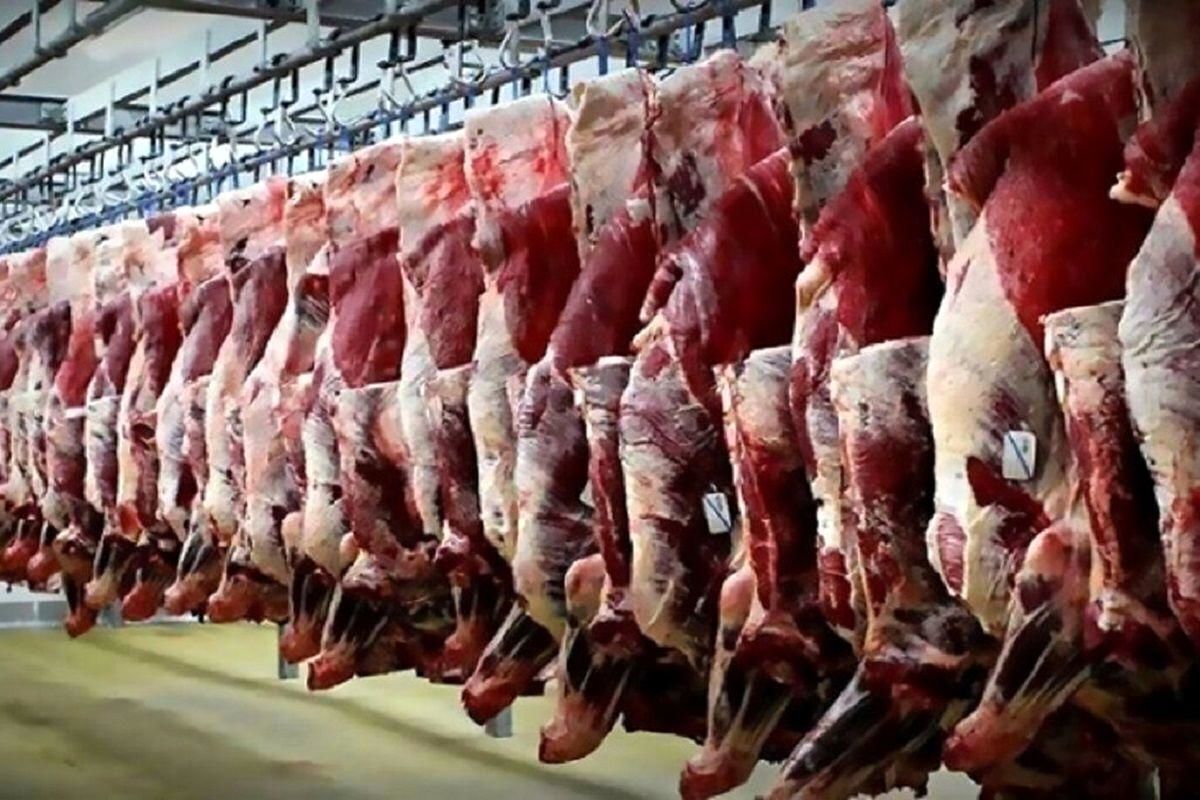 قیمت گوشت قرمز امروز سه‌شنبه ۲۸ مرداد ۱۴۰۴
