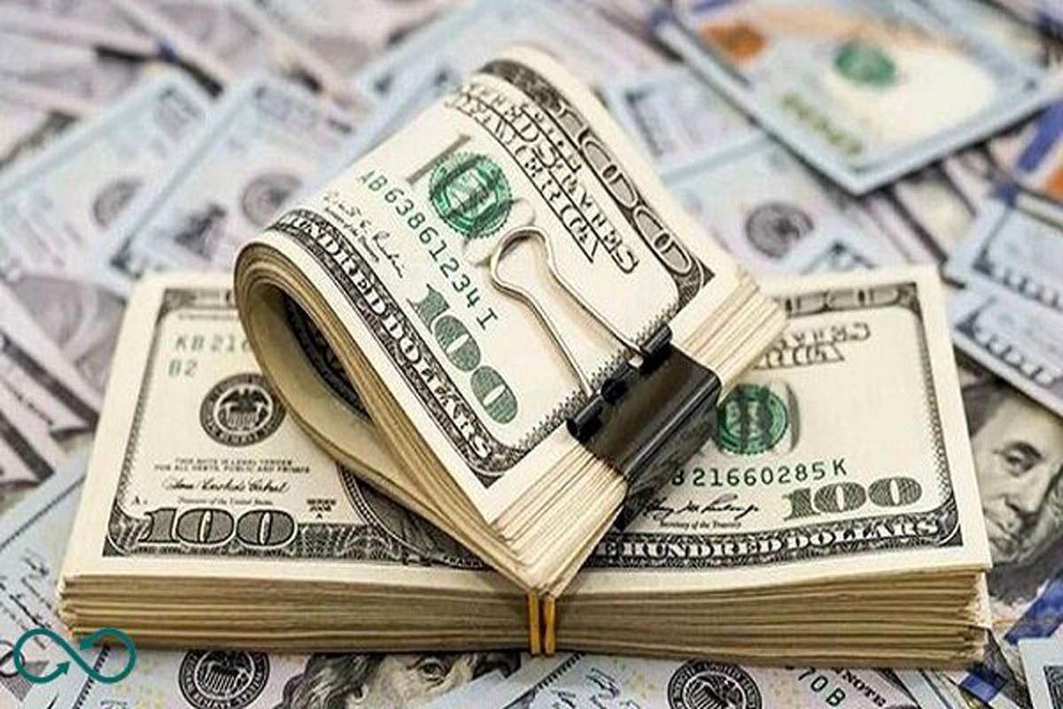 ارز دولتی بیشتر به کدام کالا‌ها تعلق گرفته است؟