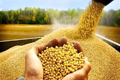خبر خوش وزیر جهاد کشاورزی درباره ارز ترجیحی