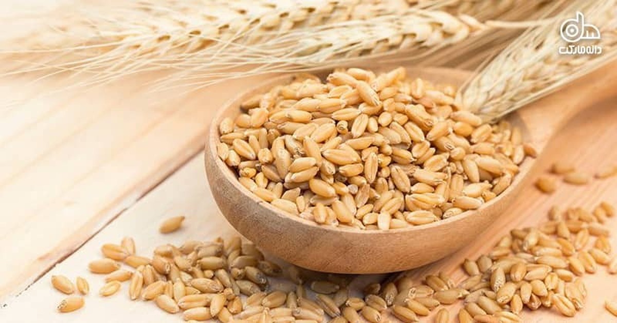 آغاز ثبت سفارش جدید جو از فردا آغاز ثبت سفارش جدید جو از فردا