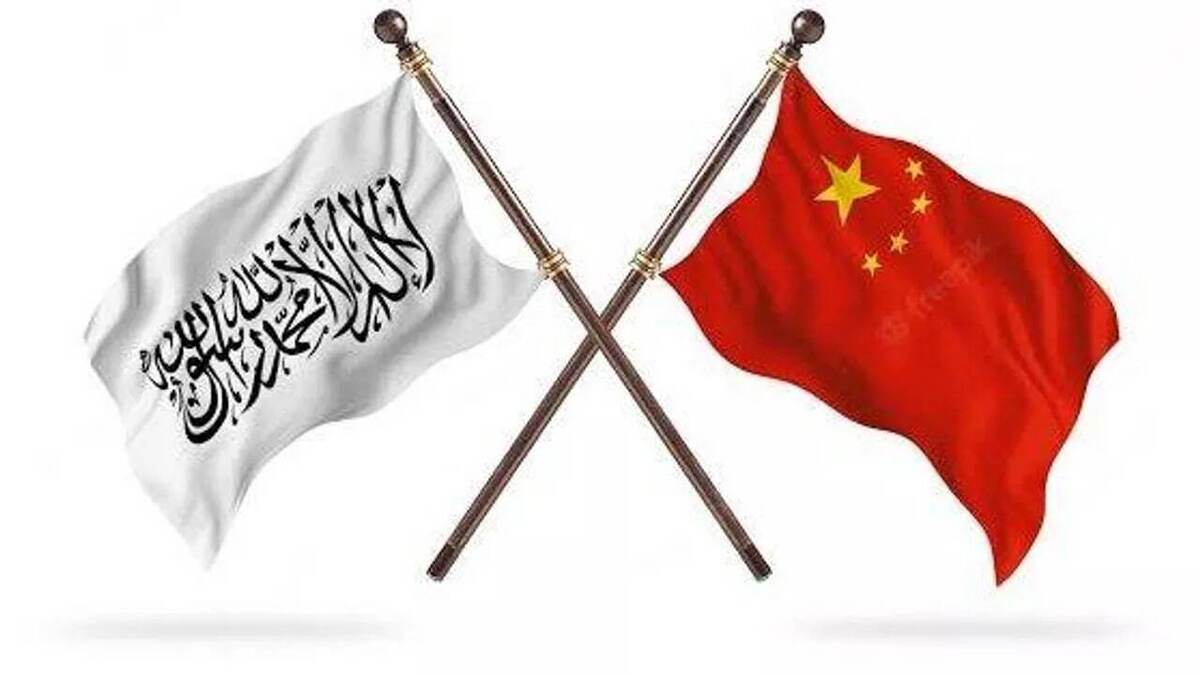 چین ثروت افغانستان را بلعید