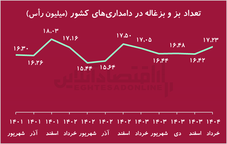 زنگ خطر کاهش شدید دام پرواری/ گوشت قرمز کمیاب می‌شود؟